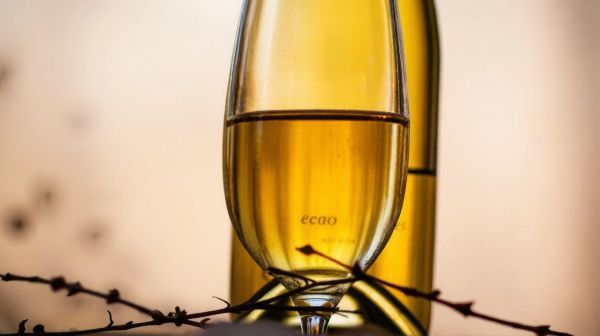 Guide ultime pour exceller avec le savennières roche aux moines en 2026
